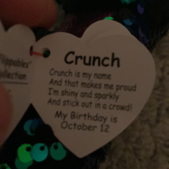 Crunch Reversible Sequence Beenie Boo - Picture 2 of 2